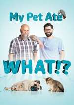 Watch My Pet Ate What? 9Movies