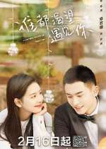 Watch Everyone Wants to Meet You 9Movies