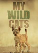 Watch My Wild Cats 9Movies