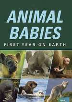 Watch Animal Babies: First Year on Earth 9Movies