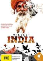 Watch Wildest India 9Movies