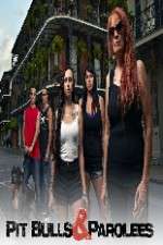 Watch Pit Bulls and Parolees 9Movies