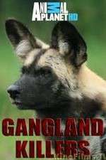 Watch Gangland Killers 9Movies