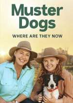 Watch Muster Dogs: Where Are They Now? 9Movies