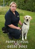 Watch Puppy School for Guide Dogs 9Movies