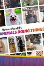 Watch Howie Mandel\'s Animals Doing Things 9Movies