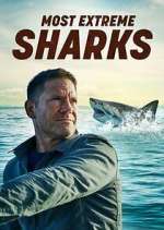 Watch Most Extreme Sharks 9Movies