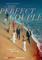 Watch The Perfect Couple 9Movies
