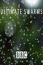 Watch Ultimate Swarms 9Movies
