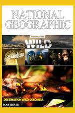 Watch Destination Wild: Colombia 9Movies