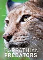 Watch Carpathian Predators 9Movies
