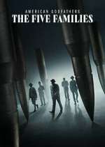 Watch American Godfathers: The Five Families 9Movies