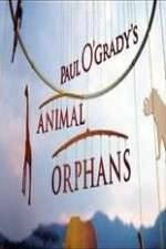 Watch Paul O'Grady's Animal Orphans 9Movies