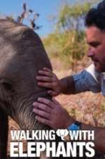 Watch Walking with Elephants 9Movies