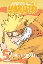 Watch Naruto 9Movies