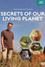 Watch Secrets of Our Living Planet 9Movies