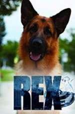 Watch Hudson & Rex 9Movies