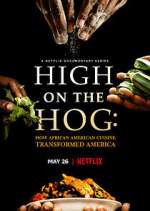 Watch High on the Hog: How African American Cuisine Transformed America 9Movies