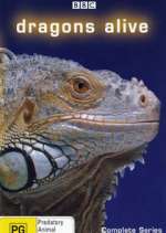 Watch Dragons Alive 9Movies