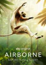 Watch Airborne 9Movies