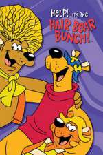 Watch Help!... It's the Hair Bear Bunch 9Movies