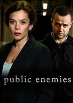 Watch Public Enemies 9Movies