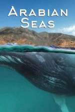 Watch Arabian Seas 9Movies