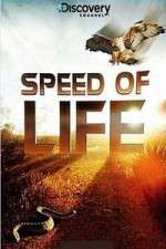 Watch Discovery Channel Speed Of Life 9Movies