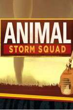 Watch Animal Storm Squad 9Movies