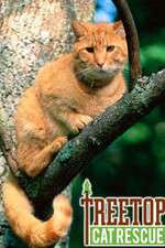 Watch Treetop Cat Rescue 9Movies