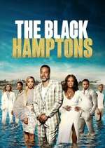 Watch Carl Weber's The Black Hamptons 9Movies