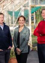 Watch Ear to the Ground 9Movies