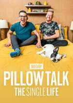 Watch 90 Day Pillow Talk: The Single Life 9Movies