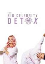 Watch The Big Celebrity Detox 9Movies
