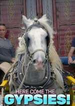 Watch Here Come the Gypsies! 9Movies