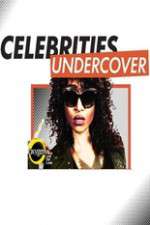 Watch Celebrities Undercover 9Movies