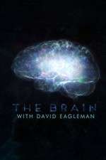Watch The Brain with Dr David Eagleman 9Movies