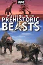 Watch Walking with Beasts 9Movies