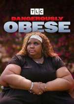 dangerously obese season 1 episode 2 tv poster