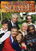 Watch Evening Shade 9Movies