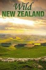 Watch Wild New Zealand 9Movies